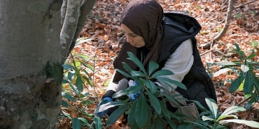 kuzuyaylada-mantarlarin-gizemli-dunyasi-kesfedildi.jpg