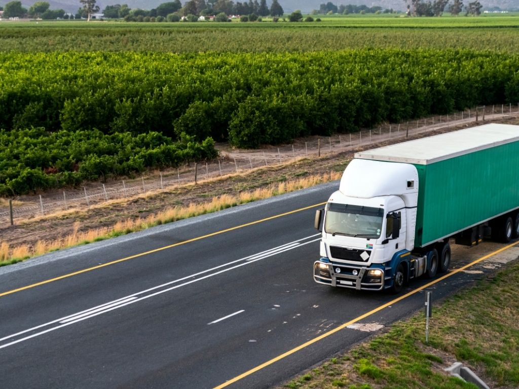 mersin evden eve nakliyat (2)