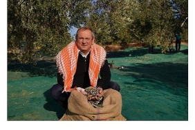 mesut-ergin-dunya-zeytin-agaci-gunu-kutlu-olsun.jpg
