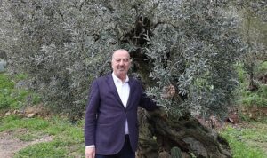 mudanya-belediyesinden-tirilye-zeytini-icin-cografi-isaret-basvurusu-b2G1kZBu.jpg