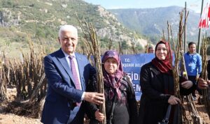 mugla-buyuksehir-belediyesi-53-bin-adet-meyve-fidani-dagitiyor-nvPGnT7X.jpg