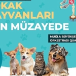 mugla-buyuksehir-belediyesi-tum-geliri-sokak-hayvanlari-yararina-kullanilacak-muzayede-duzenliyor.jpg