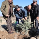 nevsehirde-yeni-dogan-ve-olen-kisiler-icin-fidan-dikildi.jpg