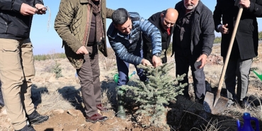 nevsehirde-yeni-dogan-ve-olen-kisiler-icin-fidan-dikildi.jpg