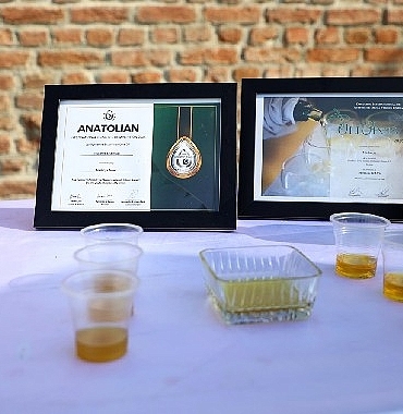 Ödüllü zeytinyağı ve Çepni İmece Fabrikası tanıtıldı