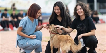 sahipsiz-hayvanlara-kotu-muamele-son-bulsun.jpg