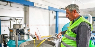 seferihisar-belediyesinden-ornek-proje-cocuklarin-topladigi-zeytinler-sofralara-bereket-olacak.jpg