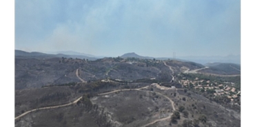 seferihisar-ve-menderes-yanginlarinin-bilancosu-agir.jpg