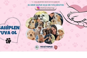sevimli-dostlarimiz-sicak-yuvalarini-bekliyor.jpg