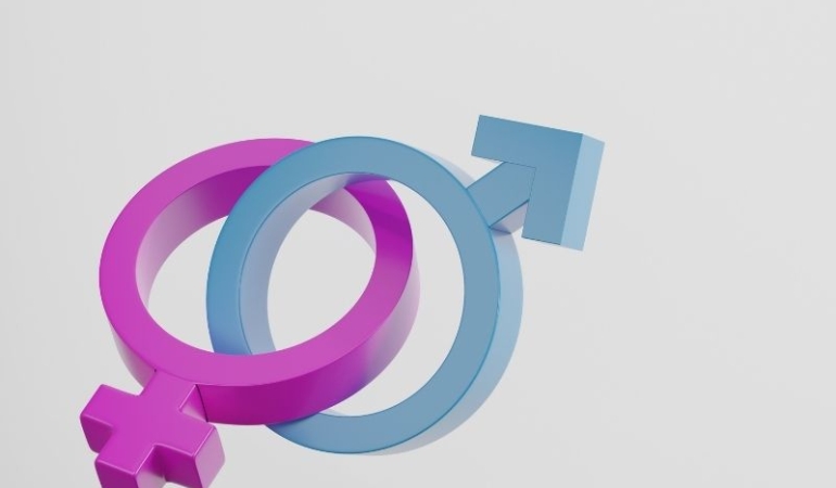 Mahrem Alışveriş Kültürünün Günümüzdeki Dönüşümü