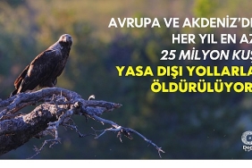 the-killing-3-0-raporuna-gore-kuslarin-yasa-disi-oldurulmesi-artiyor.jpg