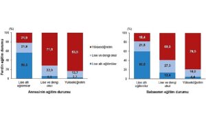 tuik-dezavantajlarin-kusaklararasi-aktarimi-2023-RD2T7Q2V.jpg