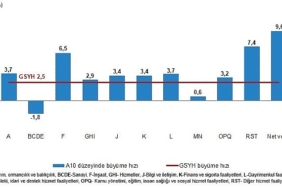 tuik-gayrisafi-yurt-ici-hasila-gsyh-2024-yili-ikinci-ceyreginde-25-artti.jpg