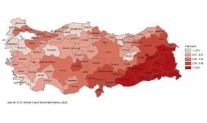tuik-ortalama-hanehalki-buyuklugu-314-oldu-PusqbDSx.jpg