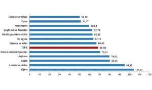 tuik-tuketici-fiyat-endeksi-tufe-yillik-6850-aylik-316-artti-CC1bFjCP.jpg