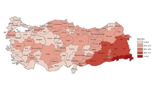 tuik-yuksekogretim-mezunlarinin-orani-25-yas-ve-uzeri-nufusta-246-oldu-Tbg8qDAd.jpg