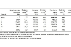 tuik-yurt-icinde-ikamet-eden-8-milyon-262-bin-kisi-seyahate-cikti.jpg