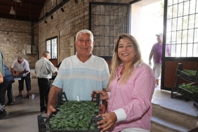 Urla’da üreticiye büyük destek: 120 bin kışlık sebze fidesi dağıtıldı