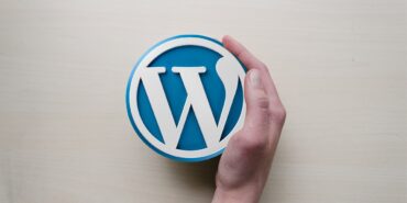 wordpress ajansı (17)