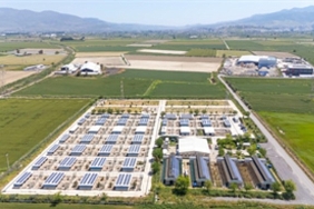 yagmur-suyu-geslere-hayat-verdi.jpg