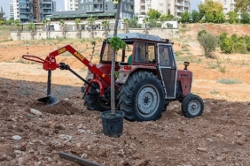 Yenişehir’de bunaltan sıcaklara yeşil reçete