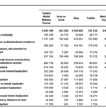 yillik-sanayi-ve-hizmet-istatistikleri-yatirim-harcamalari-2024.jpg