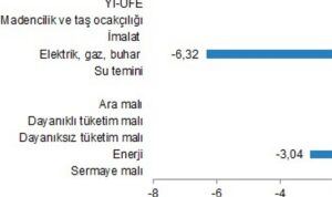 yurt-ici-uretici-fiyat-endeksi-ocak-2024-GZXbqlKi.jpg